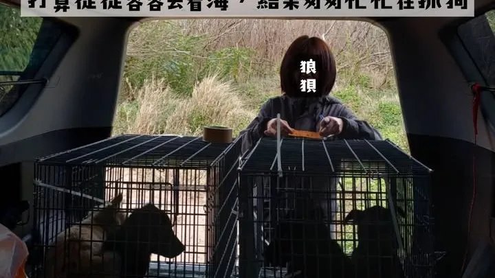 【放不下心齁齁啊休息的休假日】
​
補犬馬拉松後的難得休假日。
​
一早照顧完腫瘤阿呆後，
吃著早餐...