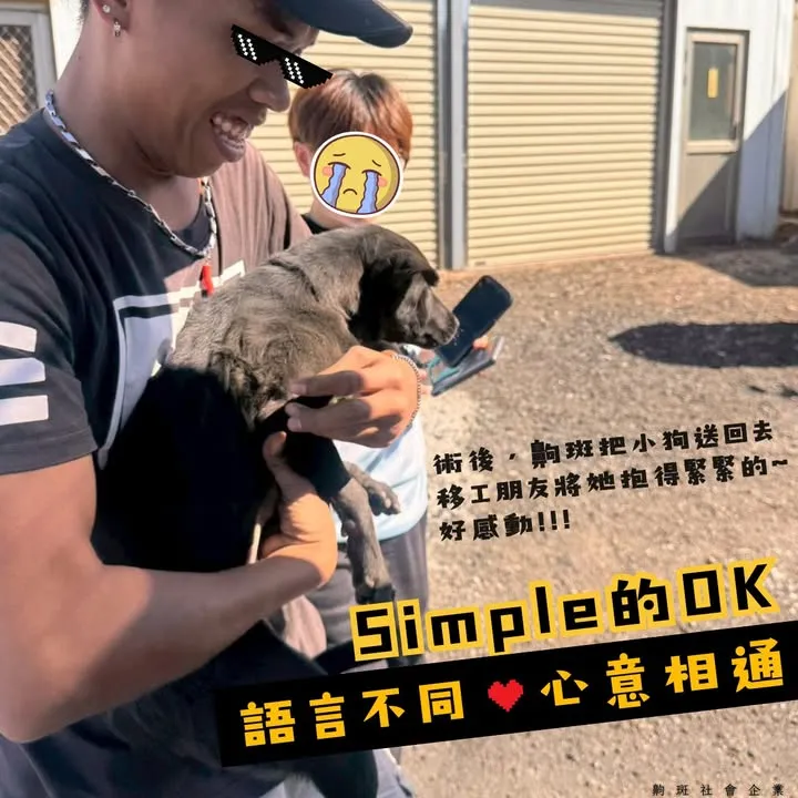 【Simple 的 OK|語言不同,心意相通 ❤️ 】
齁斑某天正在執行探索工作,
一個轉彎就看...