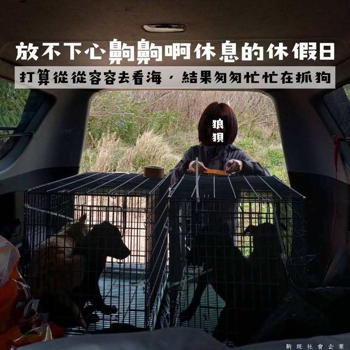 【放不下心齁齁啊休息的休假日】
​
補犬馬拉松後的難得休假日。
​
一早照顧完腫瘤阿呆後，
吃著早餐...